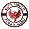 ÇANKIRIGÜCÜ SPOR KULÜBÜ