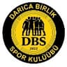 DARICA BİRLİK SPOR
