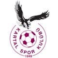 KARTAL SPORTİF FAALİYETLERİ A.Ş.