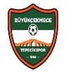 BÜYÜKÇEKMECE TEPECİK SPOR A.Ş.