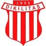 DİKİLİTAŞ SPOR