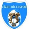 CİZRE DİCLE SPOR