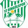 12 BİNGÖL SPOR