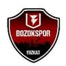 YOZGAT BELEDİYESİ BOZOK SPOR