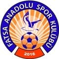 FATSA ANADOLU SPOR