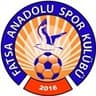FATSA ANADOLU SPOR